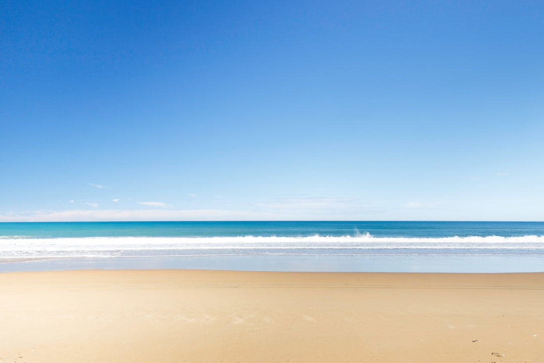 Welcome to Pufferfish! - PUFFERFISH