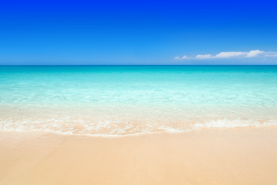 What we're doing and why - PUFFERFISH