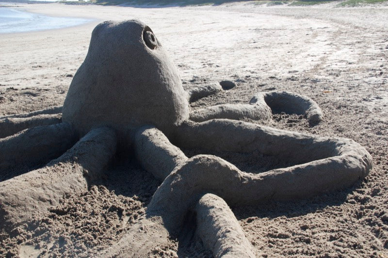 Sand creature