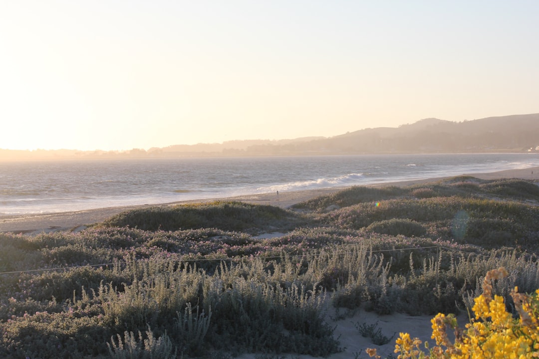 Half Moon Bay California beach - a view of a beach and a body of water