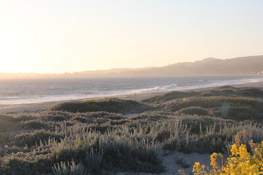 Half Moon Bay California beach - a view of a beach and a body of water