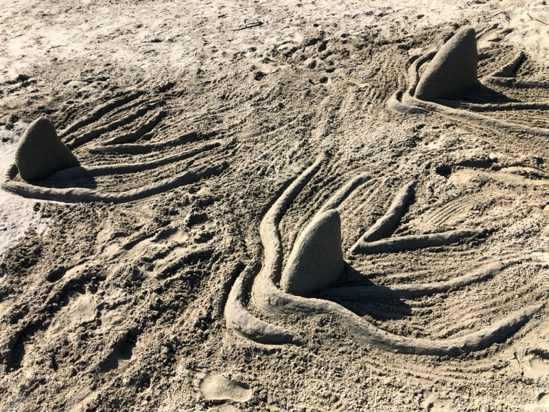 Sand creature